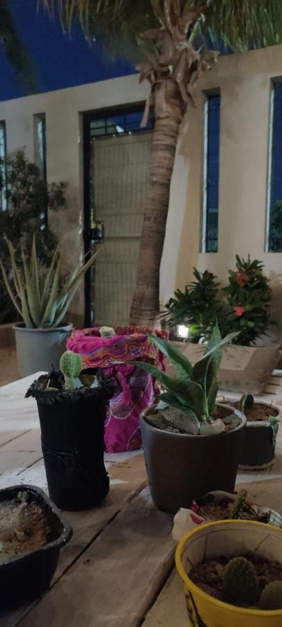 Cho Ku Rei Hostal San José del Cabo Exterior foto